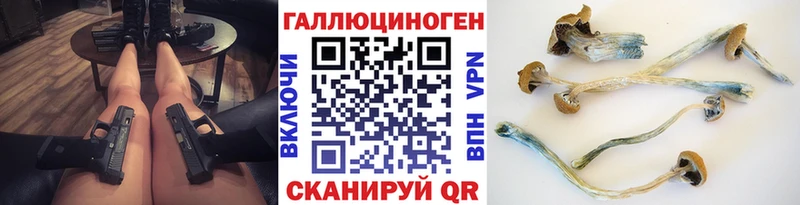 kraken онион  цены   даркнет официальный сайт  Псилоцибиновые грибы Psilocybine cubensis  Мезень 